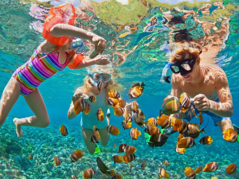 group of people snorkel with orange fish