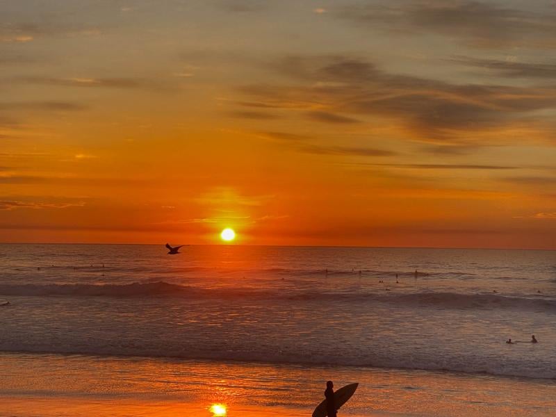A person carries a surf board along the beach shore with the sun setting behind them