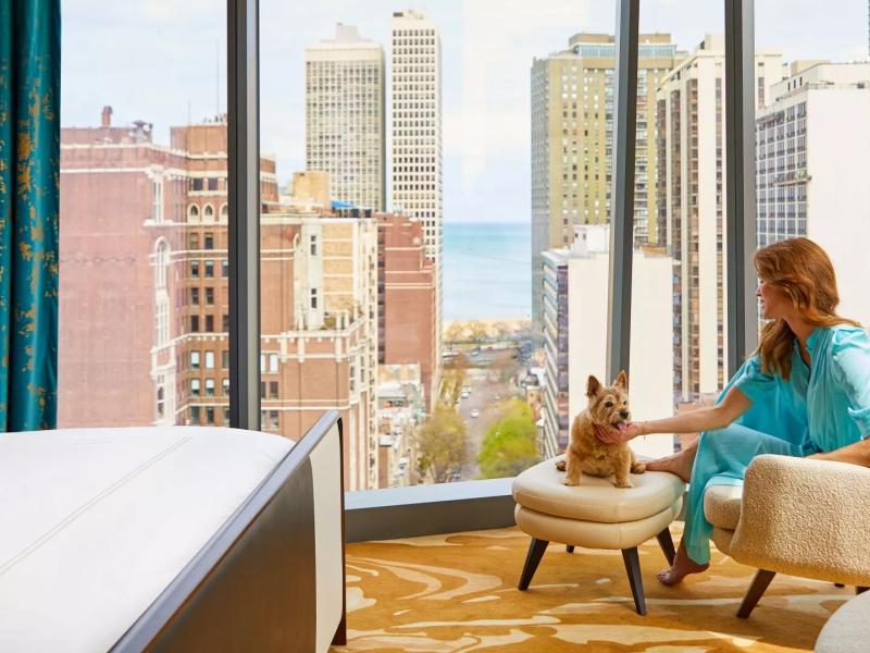 A woman seated in a Viceroy hotel suite scratches the chin of her small pet dog, seated on an ottoman, in view of a city landscape through a large bay window.