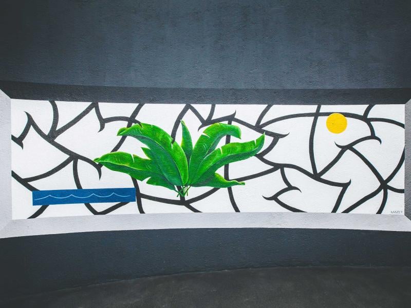 A mural entitled Deep Roots, featuring a green plant superimposed on geometric graffiti-like lines