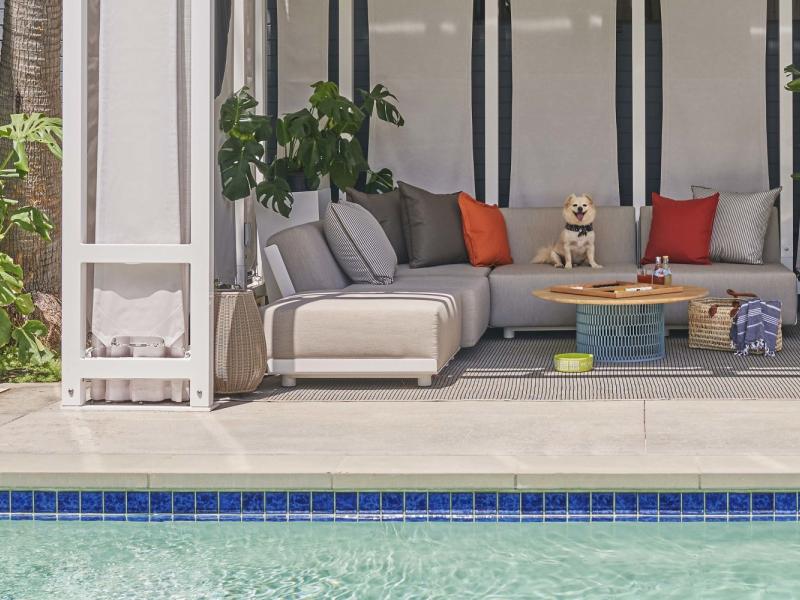 A small dog hanging out on a couch in a poolside cabana