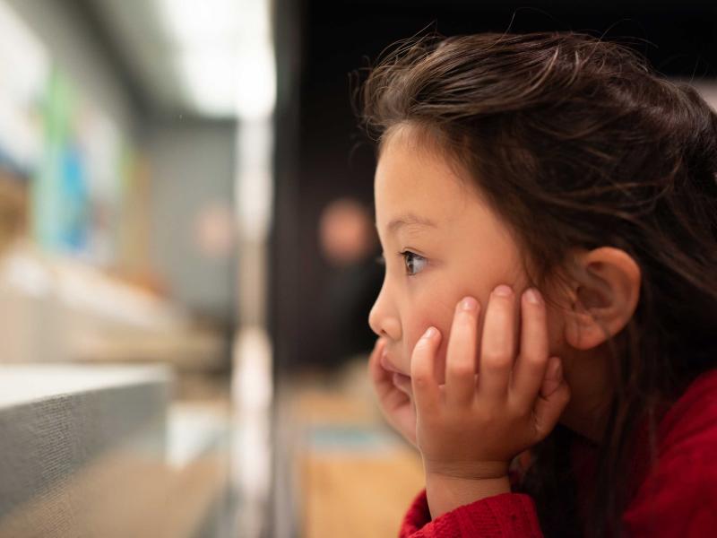 A child looks at a museum exhibit in Washington, DC