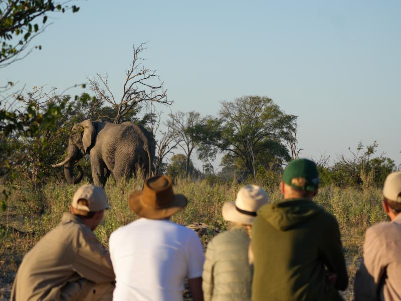 Groupe Safari 